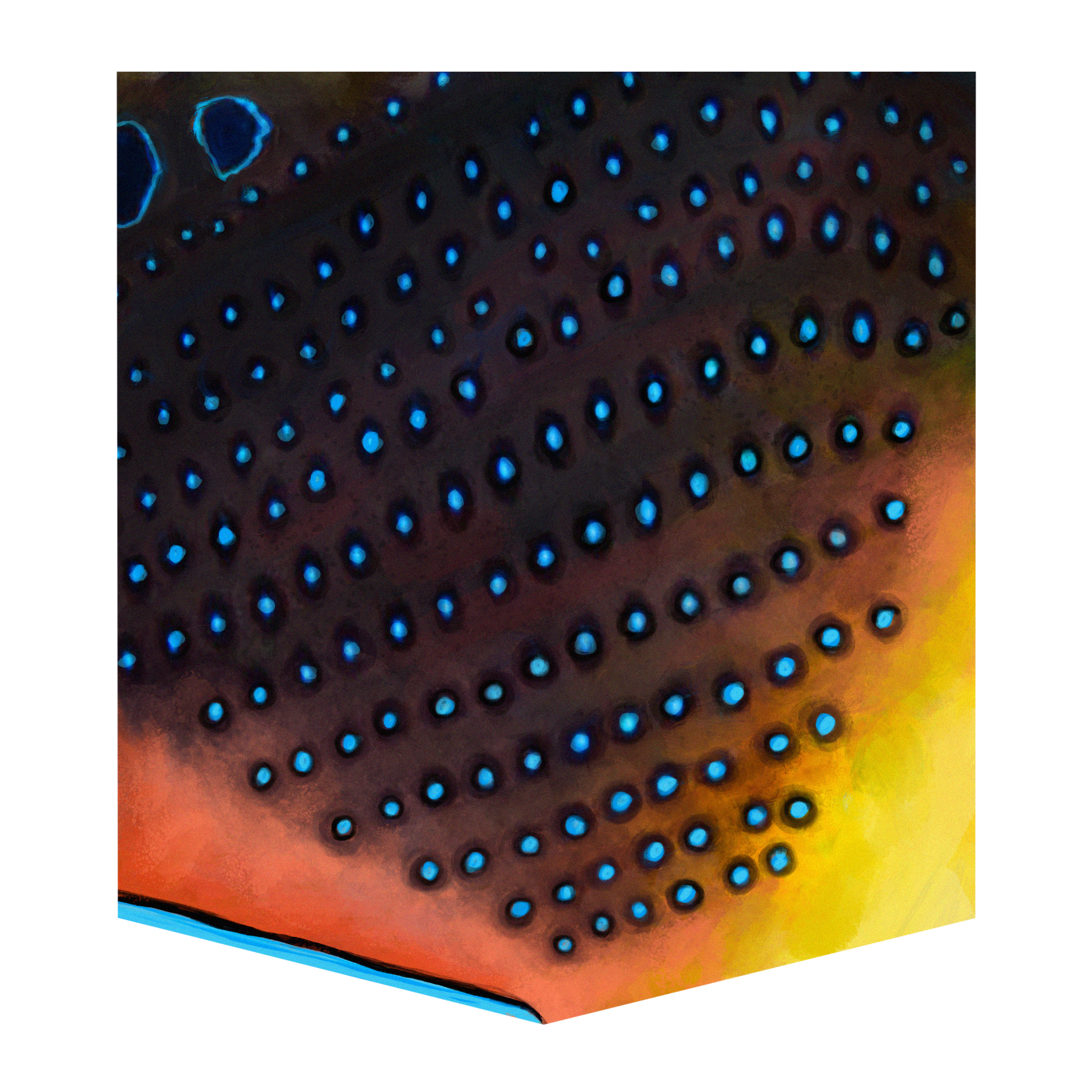 Wrasse